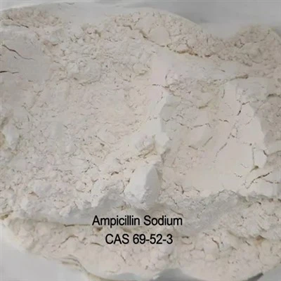 99% czystość CAS 69-52-3 surowce ampicyliny sodu w proszku farmaceutycznym
